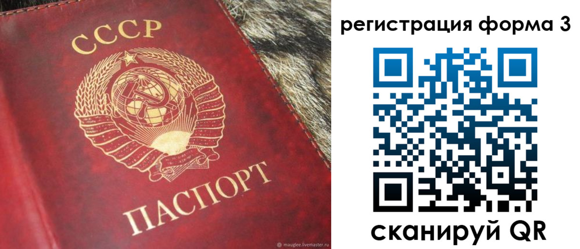 прописка регистрация в Тайге